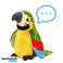 Talande papegoja- Talande fågel, Härmande papegoja, Pratsam papegoja bild 2