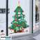 Smrekca- pin, sapin, conifère photo 4