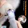 PetLED: Kjæledyrets negleklipper med belysning! bilde 3