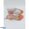 Chaussures d’été San Marina pour femmes. Grossistes et exportateurs photo 3