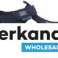 SANDALEN FÜR JUNGEN DER MARKEN GEOX 3 STYLES IN DEN GRÖSSEN 28 BIS 40 Bild 2