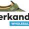 SANDALEN FÜR JUNGEN DER MARKEN GEOX 3 STYLES IN DEN GRÖSSEN 28 BIS 40 Bild 1