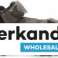 SANDALEN UND SNEAKER FÜR JUNGEN DER MARKEN GEOX 3 STYLES IN DEN GRÖSSEN 28 BIS 40 Bild 2