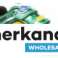 SANDALEN und SNEAKER FÜR JUNGEN DER MARKEN GEOX 6 STYLES IN DEN GRÖSSEN 26 BIS 39 Bild 4