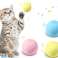 CAT TOY BALL INTERACTIVE BALL SOUNDS CATNIP image 1
