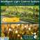 Солнечные светодиодные садовые фонари (8 лампочек), Украшение сада на открытом воздухе, Солнечная энергия - FAIRYLIGHTS изображение 5