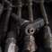 Injecteur Common Rail BOSCH 0445110070 0986435158 MERCEDES-BENZ photo 2