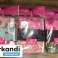 Ontdek onze selectie damesslips in 3 packs met een mix van lingeriepakketten in premium kwaliteit en optimale pasvorm. foto 4