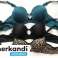 Wholesale women's bras offer a variety of color variations to choose from. image 1
