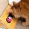 КАРТОННАЯ когтеточка для кошек BIG LAIR Коврик для когтеточки + мяч 60см изображение 4