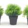 Artificial Plants Set of 3 Indoor and Outdoor Plastic Plants Lifelike Decoration image 2