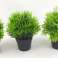 Artificial Plants Set of 3 Indoor and Outdoor Plastic Plants Lifelike Decoration image 5