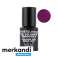LAYLA SM VERNIS GEL R.GIRL100 photo 2