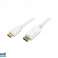 Logilink Cable DisplayPort to HDMI 2m White CV0055 image 1