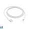Apple Lightning to USB Cable (1m) white DE MXLY2ZM/A image 1