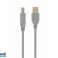 CableXpert USB 2.0 AM male to BM male cable grey CCP-USB2-AMBM-6G image 1