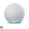Amazon Echo (4. generacije) s Smart Home Hubom - (bijeli) B085FXGP5W slika 1