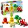 LEGO DUPLO Fruit and Vegetable Tractor 10982 image 4