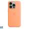 Apple iPhone 15 Pro Silicone Case with MagSafe Orange Sorbet MT1H3ZM/A image 1