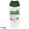 PALMOLIVE DS SPINDESYS ML220 nuotrauka 1