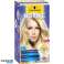 NORDIC BLONDE SCHIAR.INT.   L1 image 3