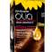 GARNIER OLIA GOLDEN D.BROWN4.3 fotka 3