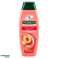 PALMOLIVE SH HYDRA B.2IN1 M350 foto 2