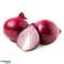 Origin Export Quality Food Grade Widely Selling Natural Delicious Fresh Red Onion for Bulk Purchase image 3