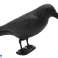 AG384 PLASTIC RAVEN BIRD REPELLER fotografia 1