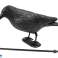 AG384 PLASTIC RAVEN BIRD REPELLER fotografia 3