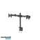 500 x Schreibtisch DUAL Monitorarm 10-27 FPMA-D960D Neomounts Bild 5