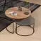 Coffee table 2 pieces | Coffee Tables Party | Top quality and in good packaging image 2