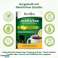 Herbion Naturals Κόκκοι Αναπνευστικής Φροντίδας με Γεύση Λεμόνι, 10 Φακελάκια - Βοηθά στην ανακούφιση των συμπτωμάτων κρυολογήματος &amp;; γρίπης, προάγει την υγιή αναπνευστική (24 Συσκευασίες) εικόνα 6