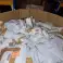 DHL - Hermes - Amazon - Verloren Pakketten - Mystery Pallets - Mystery Boxes - Mix Pallets foto 3