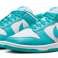 Nike Dunk Low Clear Jade DV0833-101 shoes image 1