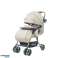 Crystal Baby Stroller available in 5 shades with footmuff image 1
