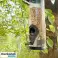Mangeoire à oiseaux suspendue, station d’alimentation pour l’observation des oiseaux, mangeoire d’extérieur, 29 x 14 cm - Birdfeedy photo 4