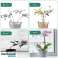 Support pour plantes et fleurs, support pour fleurs de jardin, tuteurs floraux, porte-plantes, pour une croissance saine des plantes, 5 pièces, 37 cm de long - Planty photo 4