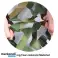 Naamiointiverkko, varjostinliina, aurinkosuoja, aurinkovarjo, kaksikerros, 2 x 3 m - Camo kuva 1