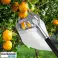 Cueilleur de fruits, outil de cueillette de fruits, accessoire de cueillette de pommes, diamètre 16cm – Fruitpicker photo 1
