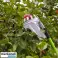 Cueilleur de fruits, outil de cueillette de fruits, accessoire de cueillette de pommes, diamètre 16cm – Fruitpicker photo 6