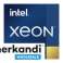 INTEL Xeon Gold seeria protsessorite hulgimüük foto 3