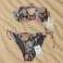 Stock Women's Swimwear Promise (kopalke z visokim pasom, bikini, obleke za plažo) fotografija 2