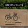 Bicicletas Versiliana Vintage - Bicicleta de ciudad - Resistente - Práctica - Cómoda - Perfecta para moverse por la ciudad fotografía 3