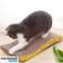 Cat scratcher HORIZONTAL CARDBOARD Big Wave Toy Bed + Catnip image 4