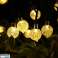SOLAR GARDEN GARLAND AURINKOPUUTARHAN ULKOVALOT 50 LED kuva 4