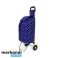 Shopping carts image 2