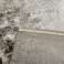 Carpets Embossed Machine 100% E-set in a wide variety of designs image 5