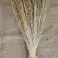 Bundt tørret Tarai græs 75 cm billede 1