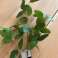 Artificial branch Shrub 67 cm assorted image 3